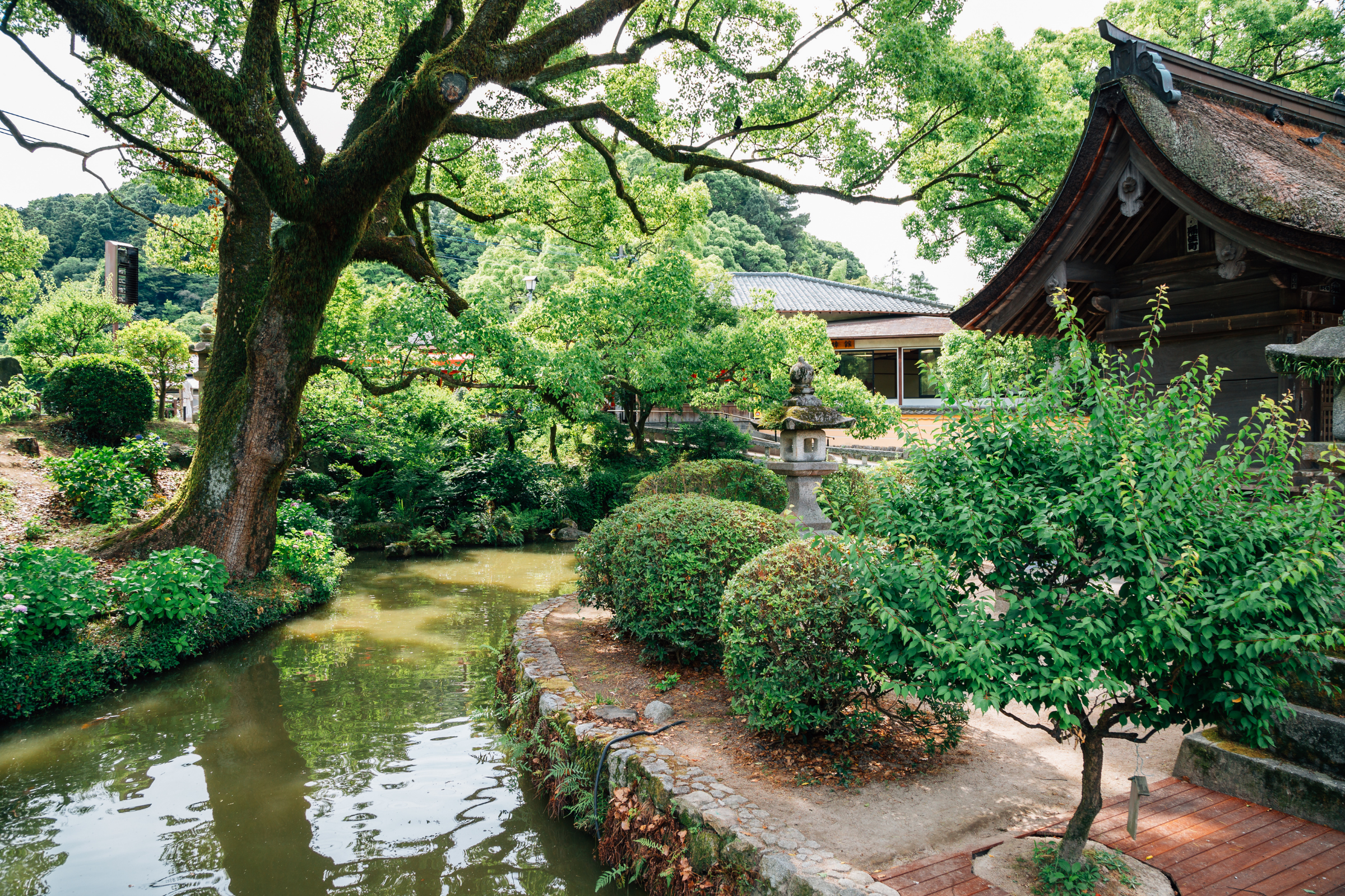 Dazaifu[1].webp